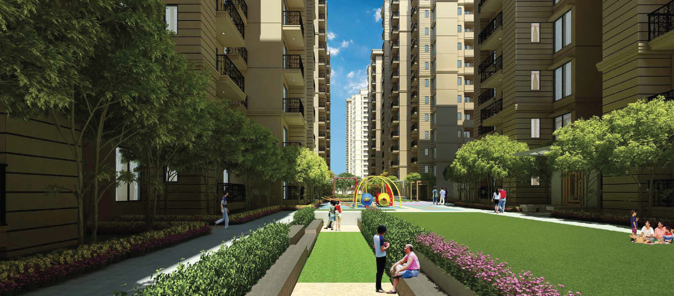 Multipurpose Lawn – Affordable housing society in sector 37D Gurgaon - Signature Global The Millennia 3